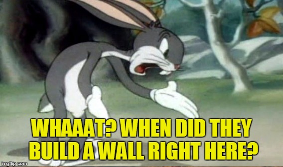 WHAAAT? WHEN DID THEY BUILD A WALL RIGHT HERE? | made w/ Imgflip meme maker