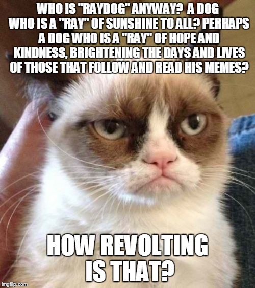 Grumpy Cat Reverse | WHO IS "RAYDOG" ANYWAY?  A DOG WHO IS A "RAY" OF SUNSHINE TO ALL? PERHAPS A DOG WHO IS A "RAY" OF HOPE AND KINDNESS, BRIGHTENING THE DAYS AND LIVES OF THOSE THAT FOLLOW AND READ HIS MEMES? HOW REVOLTING IS THAT? | image tagged in memes,grumpy cat reverse,grumpy cat | made w/ Imgflip meme maker