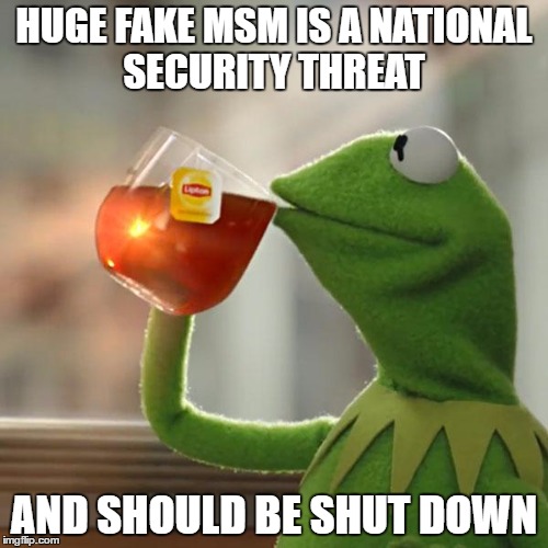 But That's None Of My Business | HUGE FAKE MSM IS A NATIONAL SECURITY THREAT; AND SHOULD BE SHUT DOWN | image tagged in memes,but thats none of my business,kermit the frog | made w/ Imgflip meme maker