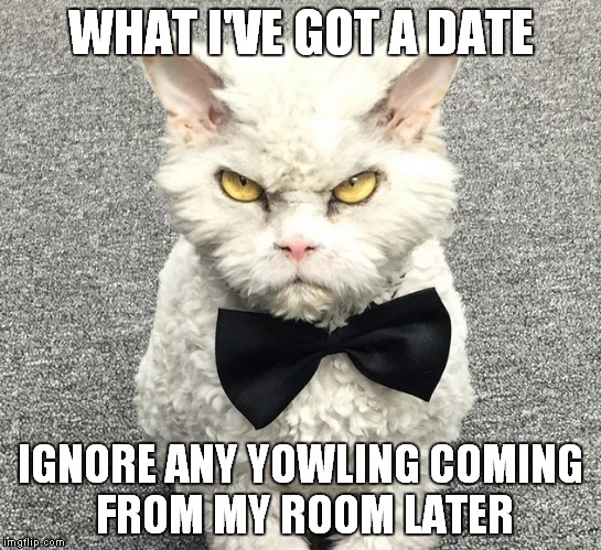 WHAT I'VE GOT A DATE IGNORE ANY YOWLING COMING FROM MY ROOM LATER | made w/ Imgflip meme maker