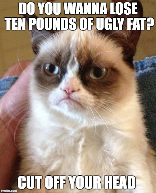 Grumpy Cat | DO YOU WANNA LOSE TEN POUNDS OF UGLY FAT? CUT OFF YOUR HEAD | image tagged in memes,grumpy cat | made w/ Imgflip meme maker