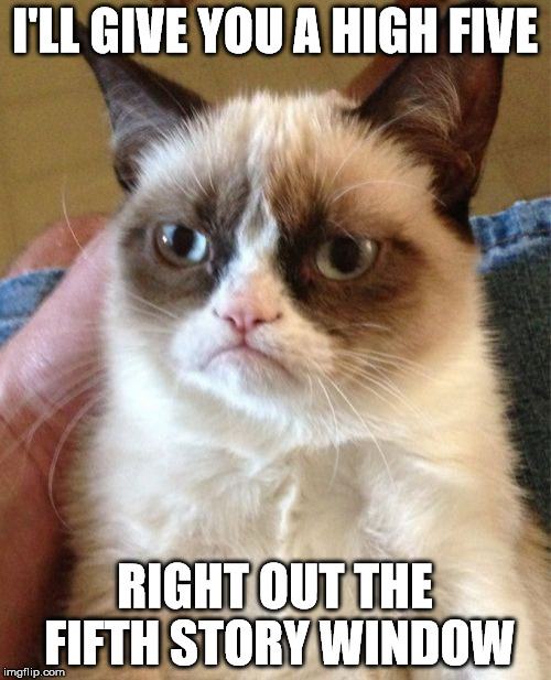 Grumpy Cat Meme | I'LL GIVE YOU A HIGH FIVE RIGHT OUT THE FIFTH STORY WINDOW | image tagged in memes,grumpy cat | made w/ Imgflip meme maker