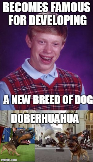 It's disturbing to look at it directly | BECOMES FAMOUS FOR DEVELOPING; A NEW BREED OF DOG; DOBERHUAHUA | image tagged in bad luck brian | made w/ Imgflip meme maker
