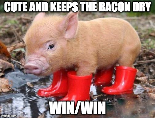 No one likes soggy bacon. | CUTE AND KEEPS THE BACON DRY; WIN/WIN | image tagged in piglet,soggy,bacon,cute,dry,iwanttobebacon | made w/ Imgflip meme maker
