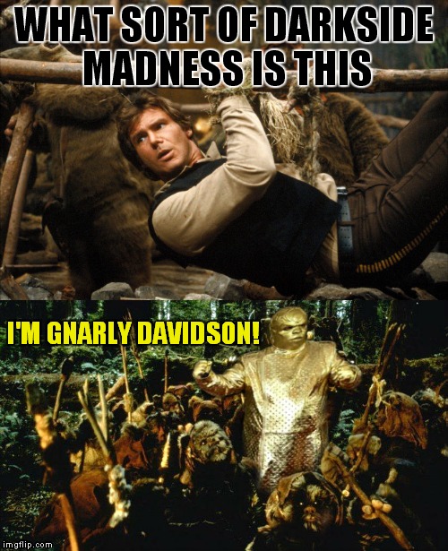 Look! Something good came out of the Grammy's! | WHAT SORT OF DARKSIDE MADNESS IS THIS; I'M GNARLY DAVIDSON! | image tagged in han solo,c3po,gnarly davidson | made w/ Imgflip meme maker