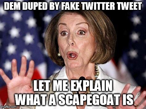 Dupe Tweet Pelosi | DEM DUPED BY FAKE TWITTER TWEET; LET ME EXPLAIN WHAT A SCAPEGOAT IS | image tagged in pelosi oh no,tweet,fake | made w/ Imgflip meme maker