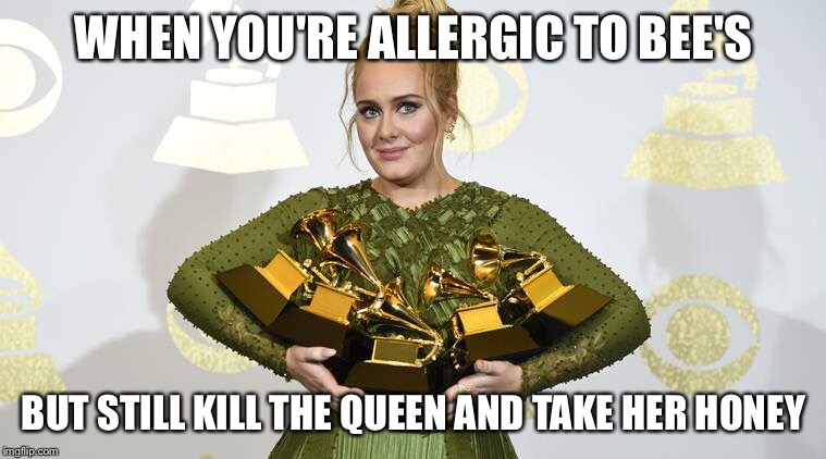 QUEEN BEE AINT GOT SHIT ON ME!!! | WHEN YOU'RE ALLERGIC TO BEE'S; BUT STILL KILL THE QUEEN AND TAKE HER HONEY | image tagged in memes,nsfw,funny,beyonce,grammys | made w/ Imgflip meme maker