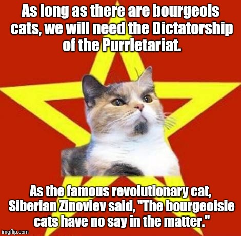 lenin cat | As long as there are bourgeois cats, we will need the Dictatorship of the Purrletariat. As the famous revolutionary cat, Siberian Zinoviev said, "The bourgeoisie cats have no say in the matter." | image tagged in lenin cat | made w/ Imgflip meme maker