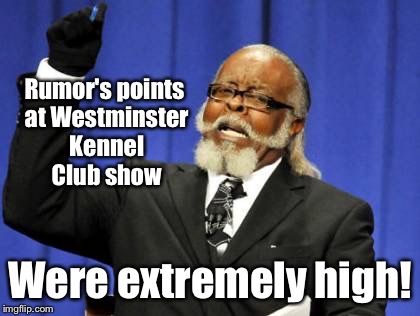 Congratulations Rumor, German Shepherd Best of Show 2017! | Rumor's points at Westminster Kennel Club show; Were extremely high! | image tagged in memes,too damn high,westminster kennel club,best of show,german shepherd,rumor | made w/ Imgflip meme maker
