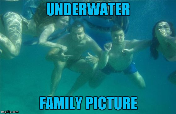 Shark Photobomb | UNDERWATER; FAMILY PICTURE | image tagged in shark photobomb | made w/ Imgflip meme maker