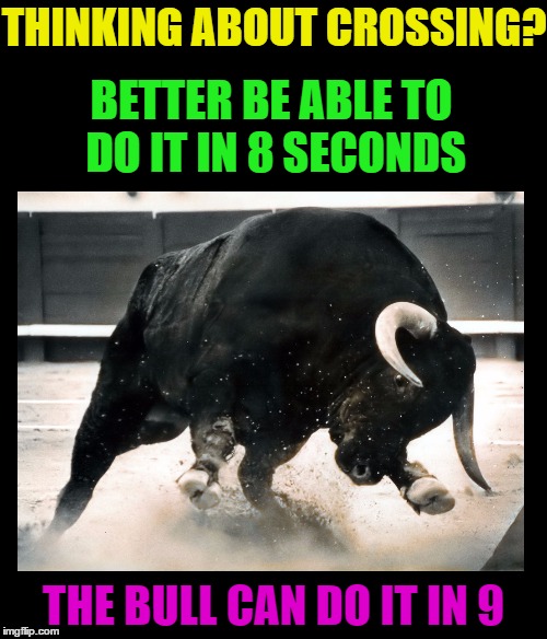 Faster than ya think! | THINKING ABOUT CROSSING? BETTER BE ABLE TO DO IT IN 8 SECONDS; THE BULL CAN DO IT IN 9 | image tagged in memes,funny,pets,animals,bull,cows | made w/ Imgflip meme maker