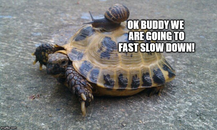 OK BUDDY WE ARE GOING TO FAST SLOW DOWN! | made w/ Imgflip meme maker