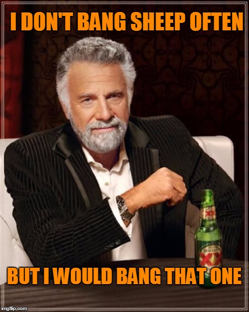 The Most Interesting Man In The World Meme | I DON'T BANG SHEEP OFTEN BUT I WOULD BANG THAT ONE | image tagged in memes,the most interesting man in the world | made w/ Imgflip meme maker
