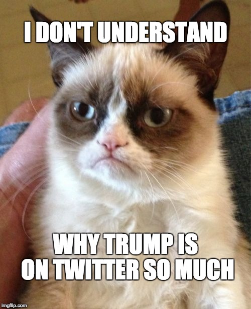 Grumpy Cat Meme | I DON'T UNDERSTAND; WHY TRUMP IS ON TWITTER SO MUCH | image tagged in memes,grumpy cat | made w/ Imgflip meme maker