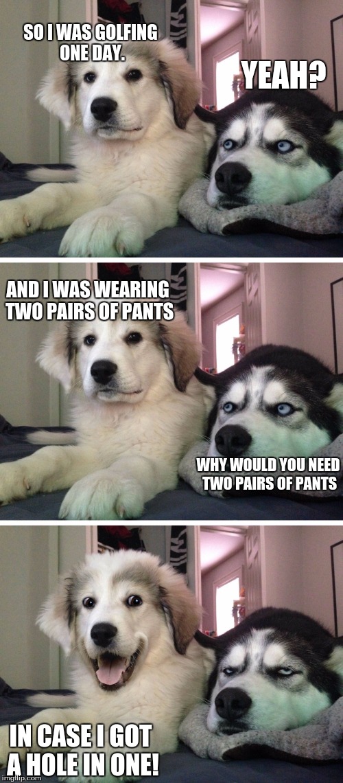 Bad pun dogs | SO I WAS GOLFING ONE DAY. YEAH? AND I WAS WEARING TWO PAIRS OF PANTS; WHY WOULD YOU NEED TWO PAIRS OF PANTS; IN CASE I GOT A HOLE IN ONE! | image tagged in bad pun dogs | made w/ Imgflip meme maker