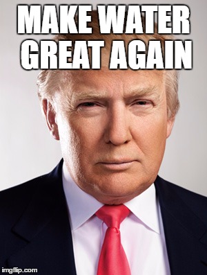 Donald Trump | MAKE WATER GREAT AGAIN | image tagged in donald trump | made w/ Imgflip meme maker