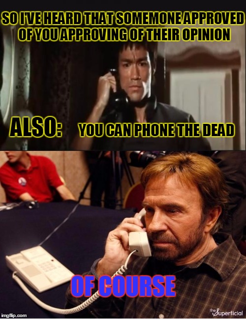 SO I'VE HEARD THAT SOMEMONE APPROVED OF YOU APPROVING OF THEIR OPINION; ALSO:; YOU CAN PHONE THE DEAD; OF COURSE | image tagged in memes,bruce lee,chuck norris,chuck norris approves,chuck norris phone,phone call | made w/ Imgflip meme maker