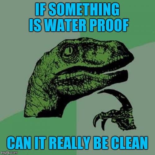 Philosoraptor | IF SOMETHING IS WATER PROOF; CAN IT REALLY BE CLEAN | image tagged in memes,philosoraptor | made w/ Imgflip meme maker