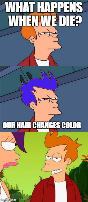 Bad Pun Fry | WHAT HAPPENS WHEN WE DIE? OUR HAIR CHANGES COLOR | image tagged in memes,futurama fry,puns | made w/ Imgflip meme maker