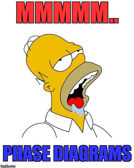 Homer Simpson Drooling | MMMMM.. PHASE DIAGRAMS | image tagged in homer simpson drooling | made w/ Imgflip meme maker