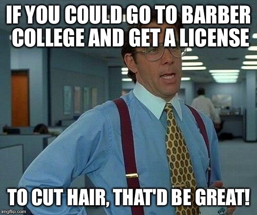 That Would Be Great Meme | IF YOU COULD GO TO BARBER COLLEGE AND GET A LICENSE TO CUT HAIR, THAT'D BE GREAT! | image tagged in memes,that would be great | made w/ Imgflip meme maker