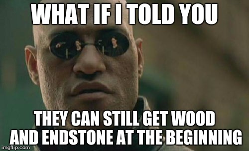 Matrix Morpheus Meme | WHAT IF I TOLD YOU; THEY CAN STILL GET WOOD AND ENDSTONE AT THE BEGINNING | image tagged in memes,matrix morpheus | made w/ Imgflip meme maker