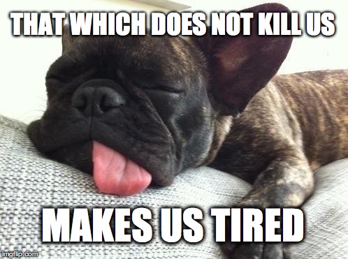 Tired Dog | THAT WHICH DOES NOT KILL US; MAKES US TIRED | image tagged in tired dog | made w/ Imgflip meme maker
