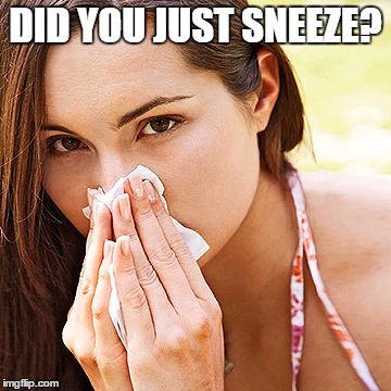 DID YOU JUST SNEEZE? | made w/ Imgflip meme maker