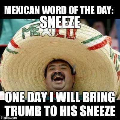 Armeggedon is on!!! | SNEEZE; ONE DAY I WILL BRING TRUMB TO HIS SNEEZE | image tagged in mexican word of the day,trump,the wall,the berlin walll | made w/ Imgflip meme maker