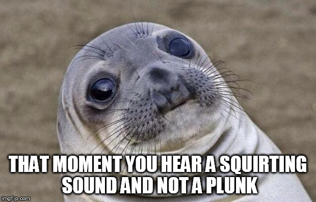 Awkward Moment Sealion Meme | THAT MOMENT YOU HEAR A SQUIRTING SOUND AND NOT A PLUNK | image tagged in memes,awkward moment sealion | made w/ Imgflip meme maker