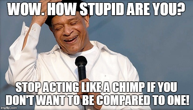 WOW. HOW STUPID ARE YOU? STOP ACTING LIKE A CHIMP IF YOU DON'T WANT TO BE COMPARED TO ONE! | made w/ Imgflip meme maker