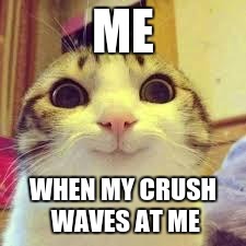 This describes me before I finally got the guts to ask her out. I do not regret that decision! | ME; WHEN MY CRUSH WAVES AT ME | image tagged in potatos and catshi crazy | made w/ Imgflip meme maker