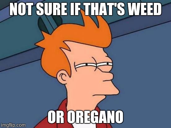 Futurama Fry Meme | NOT SURE IF THAT'S WEED OR OREGANO | image tagged in memes,futurama fry | made w/ Imgflip meme maker