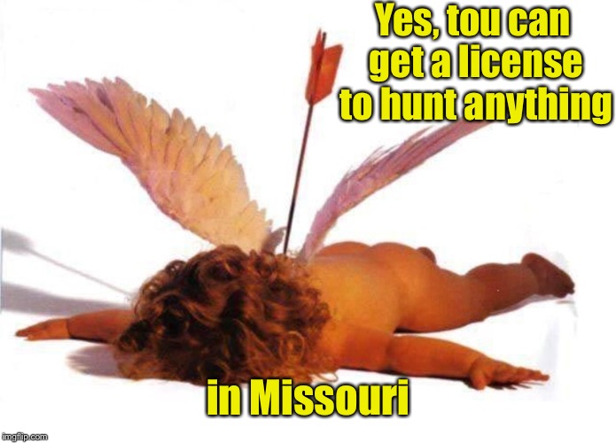 Yes, tou can get a license to hunt anything in Missouri | made w/ Imgflip meme maker