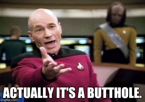 Picard Wtf Meme | ACTUALLY IT'S A BUTTHOLE. | image tagged in memes,picard wtf | made w/ Imgflip meme maker