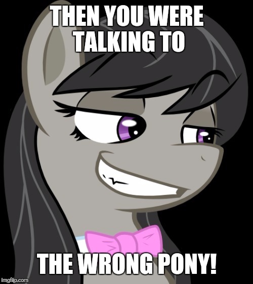 Octavia_Melody's Desire | THEN YOU WERE TALKING TO THE WRONG PONY! | image tagged in octavia_melody's desire | made w/ Imgflip meme maker