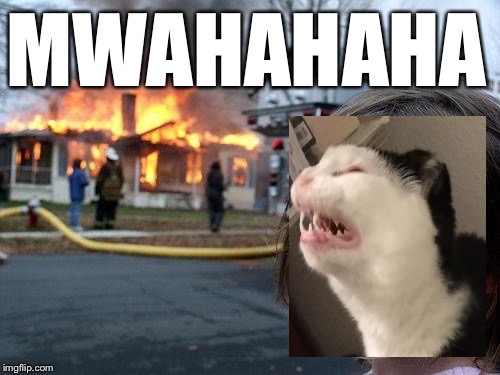 Disaster Girl | MWAHAHAHA | image tagged in memes,disaster girl | made w/ Imgflip meme maker