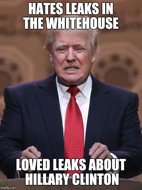 Donald Trump | HATES LEAKS IN THE WHITEHOUSE; LOVED LEAKS ABOUT HILLARY CLINTON | image tagged in donald trump | made w/ Imgflip meme maker