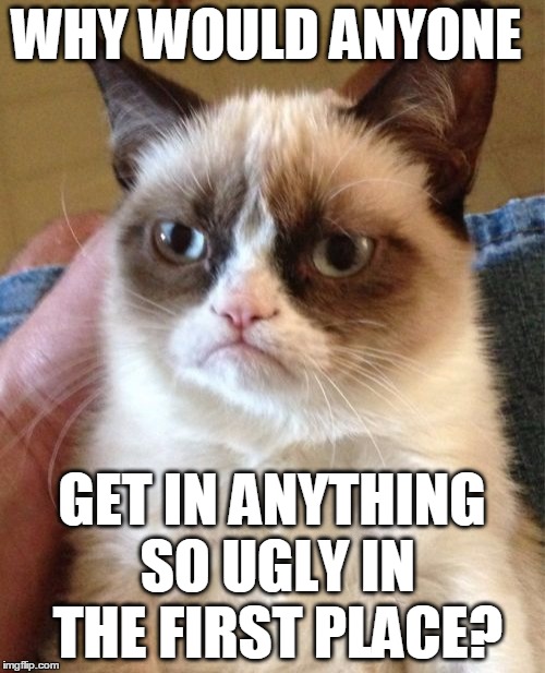 Grumpy Cat Meme | WHY WOULD ANYONE GET IN ANYTHING SO UGLY IN THE FIRST PLACE? | image tagged in memes,grumpy cat | made w/ Imgflip meme maker
