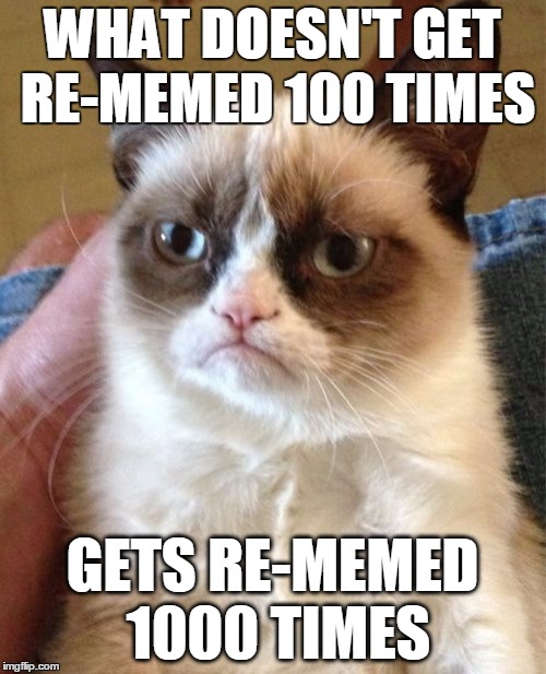 Grumpy Cat Meme | WHAT DOESN'T GET RE-MEMED 100 TIMES GETS RE-MEMED 1000 TIMES | image tagged in memes,grumpy cat | made w/ Imgflip meme maker