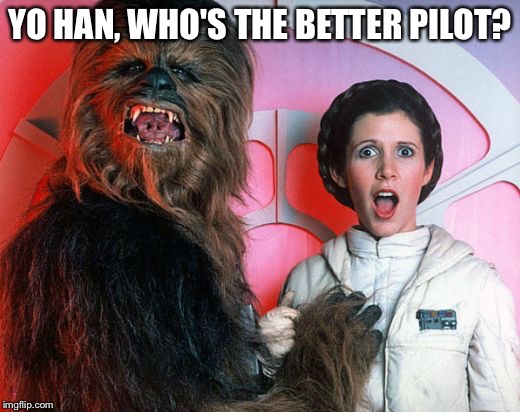 chewy | YO HAN, WHO'S THE BETTER PILOT? | image tagged in chewy | made w/ Imgflip meme maker