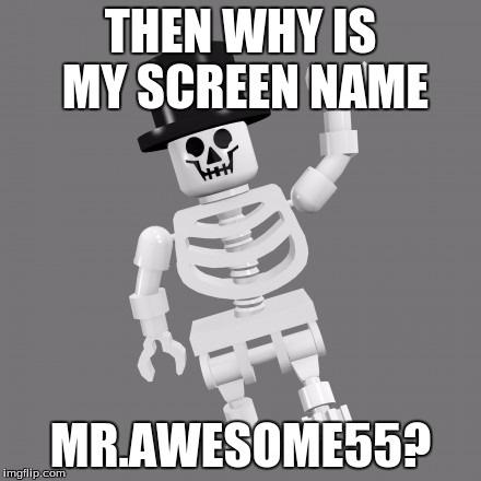 THEN WHY IS MY SCREEN NAME MR.AWESOME55? | made w/ Imgflip meme maker