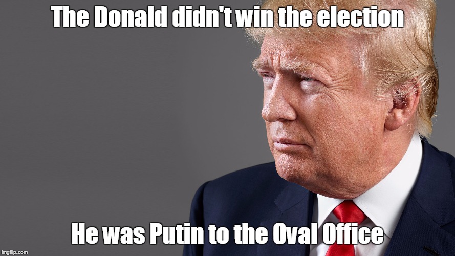 The Donald |  The Donald didn't win the election; He was Putin to the Oval Office | image tagged in the donald | made w/ Imgflip meme maker