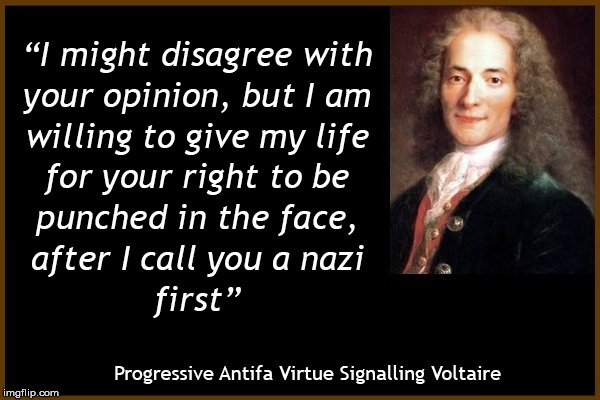 Whata a douche - Progressive Antifa Virtue Signalling Voltaire | image tagged in meme,memes,voltaire,quotes,progressives,antifa | made w/ Imgflip meme maker