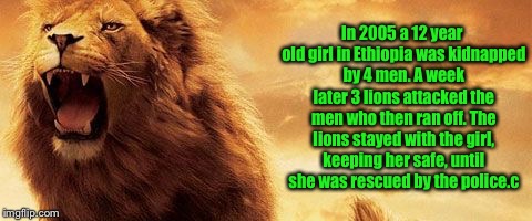 There's Leo the lion and then there are LEOs | In 2005 a 12 year old girl in Ethiopia was kidnapped by 4 men. A week later 3 lions attacked the men who then ran off. The lions stayed with the girl, keeping her safe, until she was rescued by the police.c | image tagged in lion king | made w/ Imgflip meme maker