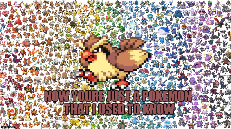 Some pokemon that I used to know | NOW YOURE JUST A POKEMON THAT I USED TO KNOW | image tagged in pokemon,pokemon go,pidgey,used to know,somebody that i used to know | made w/ Imgflip meme maker