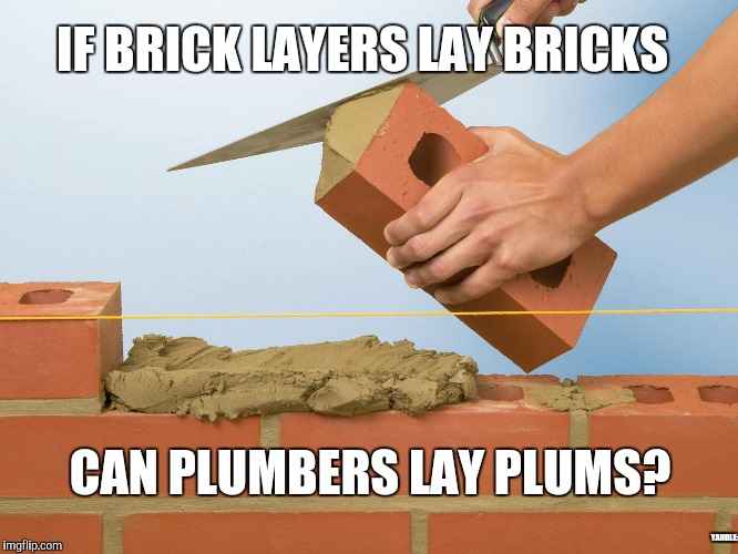 Brick laying | IF BRICK LAYERS LAY BRICKS; CAN PLUMBERS LAY PLUMS? YAHBLE: | image tagged in bricks | made w/ Imgflip meme maker