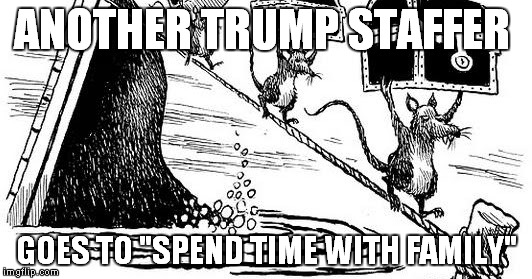 Trump's Rats | ANOTHER TRUMP STAFFER; GOES TO "SPEND TIME WITH FAMILY" | image tagged in trump supporters,trump cabinet | made w/ Imgflip meme maker