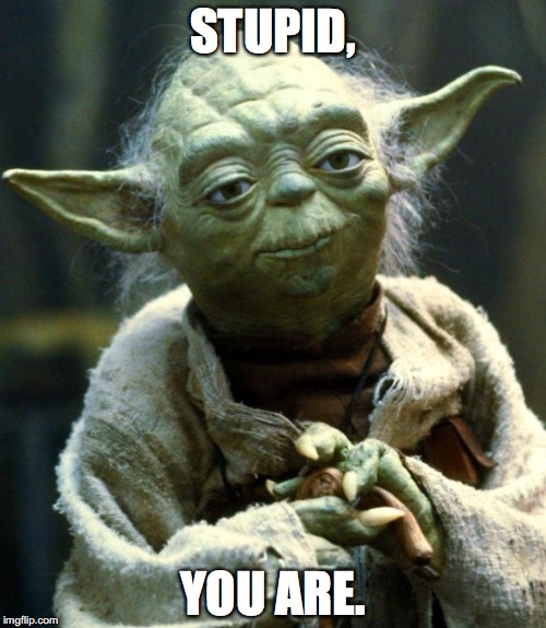 Star Wars Yoda Meme | STUPID, YOU ARE. | image tagged in memes,star wars yoda | made w/ Imgflip meme maker