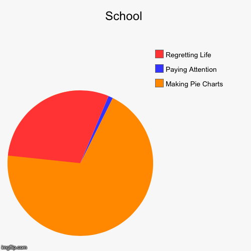 image tagged in funny,pie charts | made w/ Imgflip chart maker